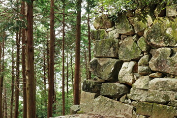 安土城跡の石垣