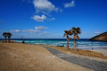 seaside walkway and fine seascape