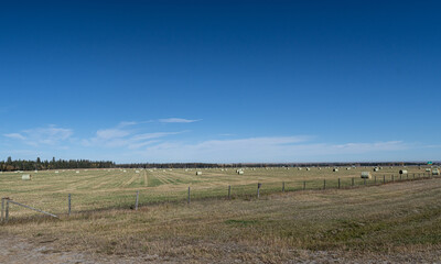 Fototapeta premium Agricultural Farm field with bales of hay