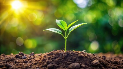Flourishing sapling in fertile soil symbolizing growth and advancement