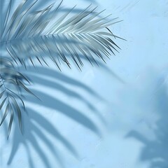 Obraz premium A minimalist design featuring a palm leaf shadow against a soft blue background.
