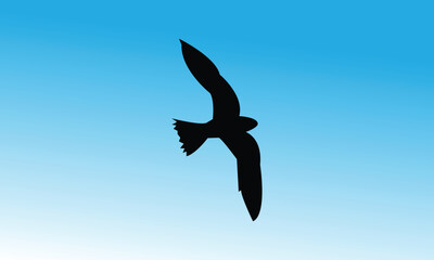 Bird Flying Alone Silhouette Design. 