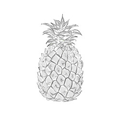 Obraz premium pineapple fruit sketch image with white background
