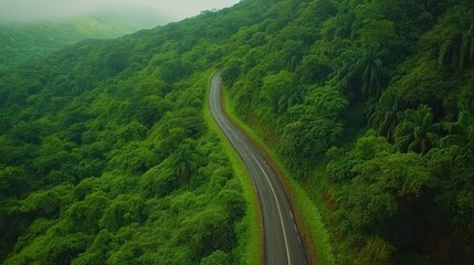 Fototapeta premium Winding asphalt road through dense green jungle with mist and rain.