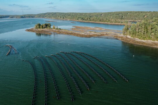 Shellfish farm on Orr's Island, Harpswell, Maine, United States.