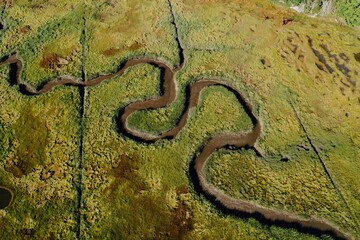 Abstract texture of swamp marsh with winding stream. Phippsburg, Maine, United States.