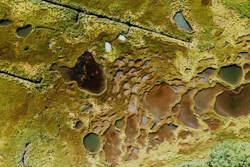 Abstract texture of swamp marsh with winding stream. Phippsburg, Maine, United States.