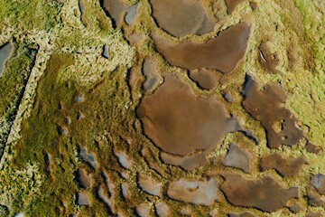 Abstract texture of swamp marsh with small ponds. Phippsburg, Maine, United States.
