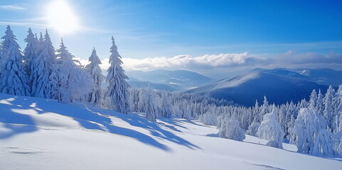 Obraz premium A winter landscape with dazzling sunlight against a backdrop of a lush winter forest of coniferous trees covered in white snow.