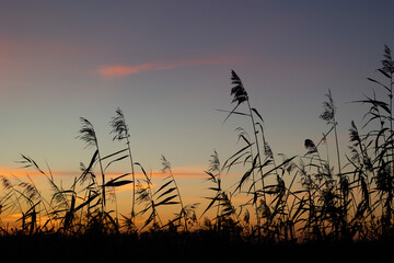 Beautiful colorful autumn sunrise skies over the rural landscape of Latvia. Seasonal scenery of...