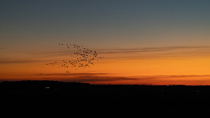 Seasonal scenery of Northern Europe.