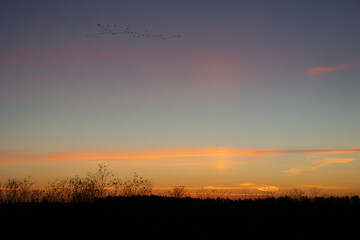 Seasonal scenery of Northern Europe.