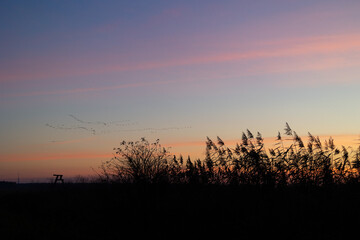 Seasonal scenery of Northern Europe.