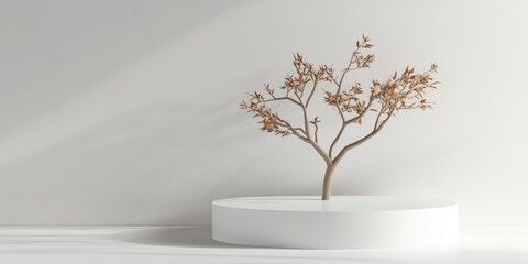 Obraz premium A white 3D podium featuring a desert wood tree creates an empty stage for a minimalistic mockup. Its an ideal merchandising display stand for showcasing products like candles and greeting cards.