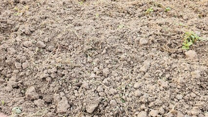 Freshly Tilled Soil with Sparse Greenery