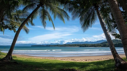 Tropical Beach View from Palm Trees