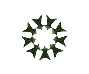 Special leaf material