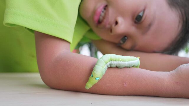 Close-up view of a green worm. It is clinging to a child's arm and moving slowly. For educational and learning purposes about its growth., Green worm. Concept of pests destroying plants and flowers.