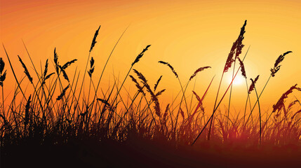 Fototapeta premium A silhouette of tall grass against the sunset. silhouette illustration