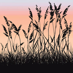 Obraz premium A silhouette of tall grass against the sunset. silhouette illustration