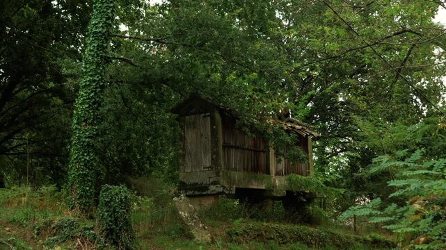 Traditional stone h&oacute;rreo storage building surrounded by greenery in Coles, Ourense, Galicia, Spain