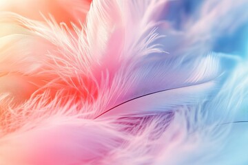 Obraz premium Beautiful pastel color background with soft feathers, close-up. 