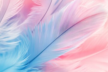 Obraz premium Colorful pastel soft feathers background. 