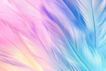 Colorful pastel soft feathers background. 