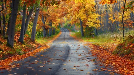 Obraz premium Autumn Road