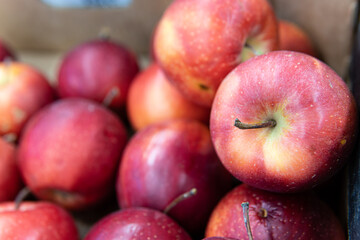 organic fresh food diet agriculture produce fruit healthy apple market raw green red