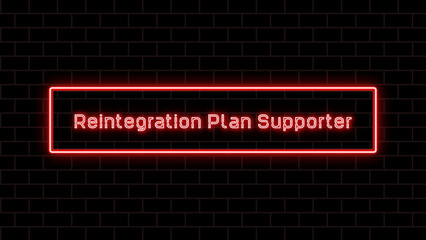 Reintegration Plan Supporter のネオン文字