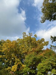 The beautiful autumn sky in Korea