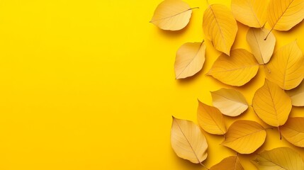 Fototapeta premium Yellow background with a bunch of yellow leaves on it. leaves are scattered all over background, sense of movement, energy. yellow color of background, leaves creates a warm, inviting atmosphere