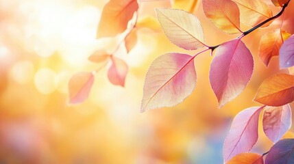 Close-up details of pink autumn leaves in sunlight capture the essence of fall, creating a natural background. Perfect for contrast nature wallpaper with ample copy space.
