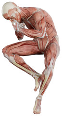 muscle body exercise person with transparent background