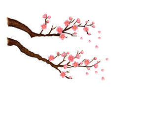 手描きの色鉛筆で描いた梅の枝