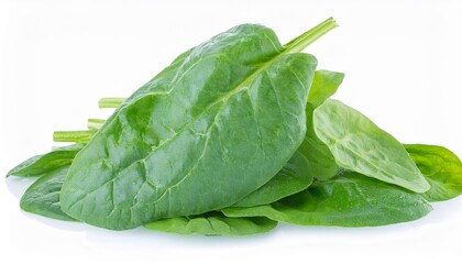 Fototapeta premium Spinach on white background. Spinach Isolated.