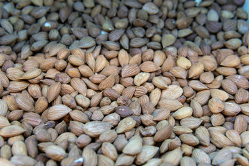 vegetarian healthy texture isolated seed brown natural nutrition food snack organic dry market