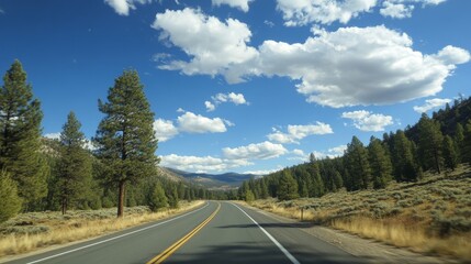 Naklejka premium scenic drive through sierra nevada landscape, first-person view from moving vehicle, evergreen trees lining roadside, expansive sky with fluffy clouds, sense of speed and adventure