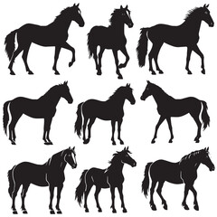 Collection of horses silhouettes set , black silhouettes isolated on white background