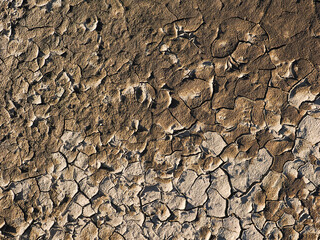 dried and cracked mud