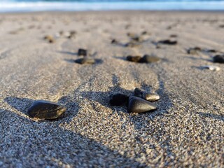 shell on the beach