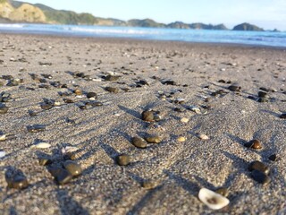 pebbles on the beach