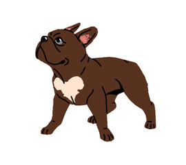 Happy playful French Bulldog stands. Cute puppy with brown color has fun. Funny dog with curious muzzle plays. Amusing pet, domestic animal. Flat isolated vector illustration on white background