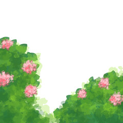 frame with flowers and butterflies flower. 