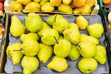 diet fruit freshness fresh space crop bunch background copy ripe food closeup agriculture pear