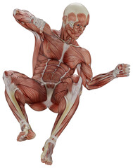 male muscle body exercise person with transparent background