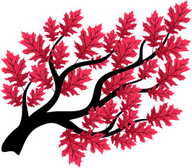 Fototapeta premium Autumn Leaf Branch