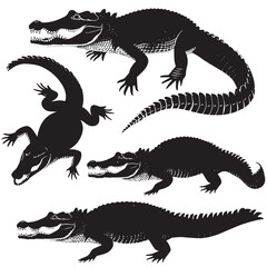 Obraz premium Crocodiles silhouette isolated in White background