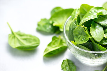 Spinach leaves in a transparent glass bowl isolated on white background. Heap of Baby spinach fresh leaves close up, Healthy vegan food, diet, dieting. Border design